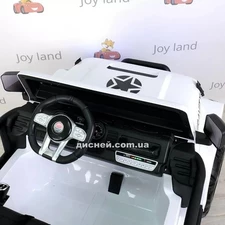 Детский электромобиль M 4572 EBLR-1 (24V), двухместный купить