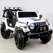 Детский электромобиль M 4572 EBLR-2 (24V), двухместный купить