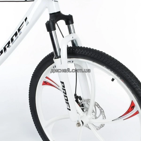 16807_2.webp