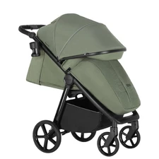 Прогулочная коляска CARRELLO Bravo SL CRL-5520 Fruit Green фото 63