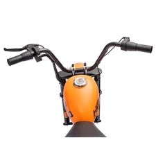 Детский мотоцикл M 6016 AL-6 (36V) на аккумуляторе Harley-Davidson фото 71