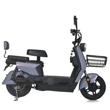 Электроскутер MES 1025-6HML Suwa, мотор 500W, серый хамелеон купить