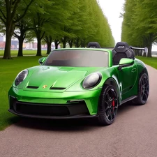 Двухместная детская электромашина M 6111 EBLRS-5 (24V) Porsche, автопокраска, зеленая купить