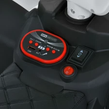 Детский квадроцикл - толокар M 6237 EBLR-1 белый, с пультом управления фото 86