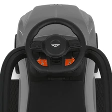 Детская каталка - толокар M 6252 EL-11 Bentley, с родительской ручкой, серая фото 54