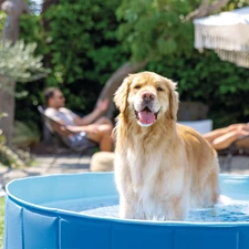 Бассейн для собак Intex 48400 складной, 152 х 30 см. фото 14