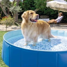 Бассейн для собак Intex 48400 складной, 152 х 30 см. купить