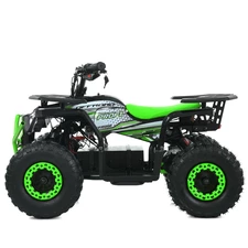 Квадроцикл на аккумуляторе HB-FFA1000-2-3 черно-красный мотор 1000 Вт фото 37