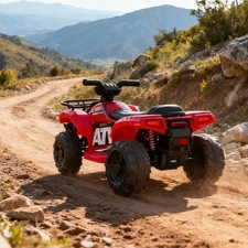 Детский квадроцикл M 6297ERL-3 красный с пультом управления фото 41