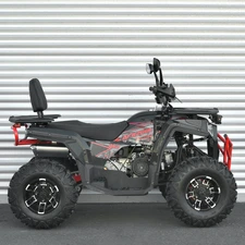 Двухместный бензиновый квадроцикл AFB200L-2-3 черно-красный фото 41