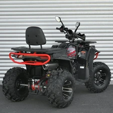 Двухместный бензиновый квадроцикл AFB200L-2-3 черно-красный фото 54