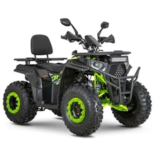 Бензиновый квадроцикл AFB200L-2-5 с удлиненной базой черно-зеленый