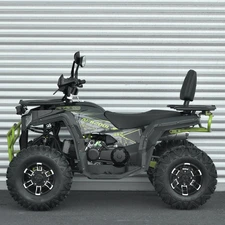 Двухместный бензиновый квадроцикл AFB200L-2-5 черно-зеленый фото 41