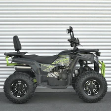 Двухместный бензиновый квадроцикл AFB200L-2-5 черно-зеленый фото 54