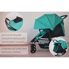 Коляска прогулочная Carrello Maestro CRL-1414 Wild Olive, дождевик фото 37