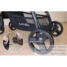Коляска прогулочная Carrello Maestro CRL-1414 Wild Olive, дождевик фото 71